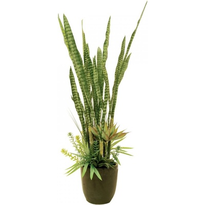 Sukulent mix, 190 cm
