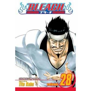 Bleach, Vol. 28 (ISBN: 9781421523866)