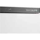 Tefcold UF 400