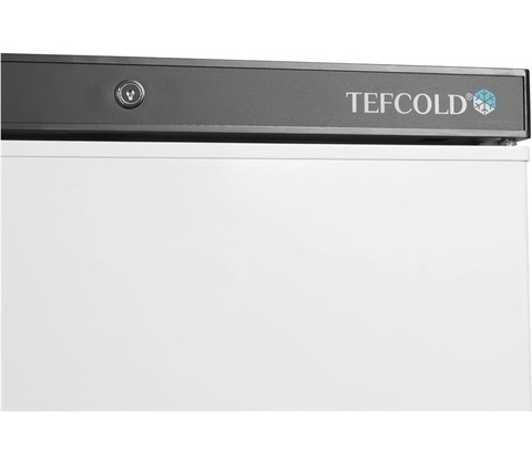 Tefcold UF 400