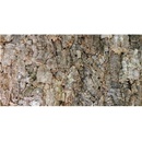 Lucky Reptile Natural Cork Background New drsné 60x30 cm