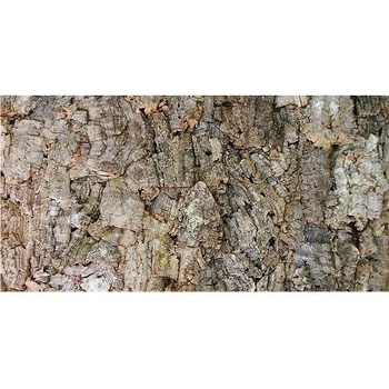 Lucky Reptile Natural Cork Background New drsné 60x30 cm
