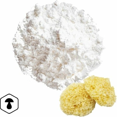 LifeChi Rosolovka řasotvará Snow fungus, Tremella fuciformis extrakt v prášku 50 g