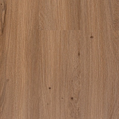 Egibi Canadian Design Jägerndorf 1,7712 m²