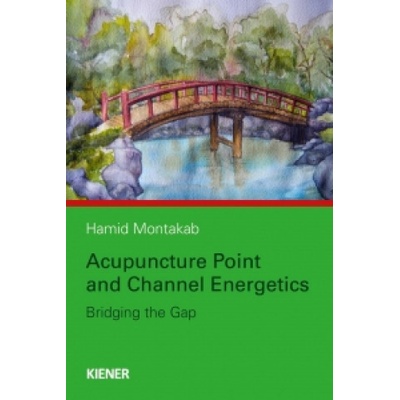 Acupuncture Point and Channel Energetics