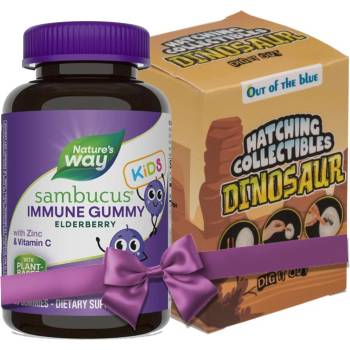 Nature's Way Sambucus Elderberry за деца, 60 желирани таблетки, Nature’s Way (12285)