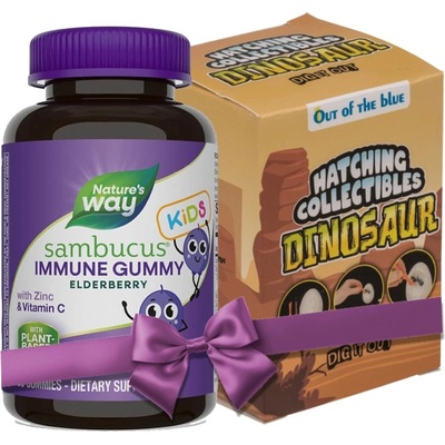 Nature's Way Sambucus Elderberry за деца, 60 желирани таблетки, Nature’s Way (12285)