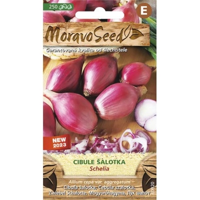 Cibuľa šalotka SCHELIA jarná červená MoravoSeed
