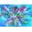 Enjoy - Puzzle Ocean Blues - 2 000 piese