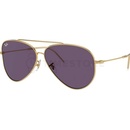 Ray-Ban Aviator Reverse RB0101S 001/1A