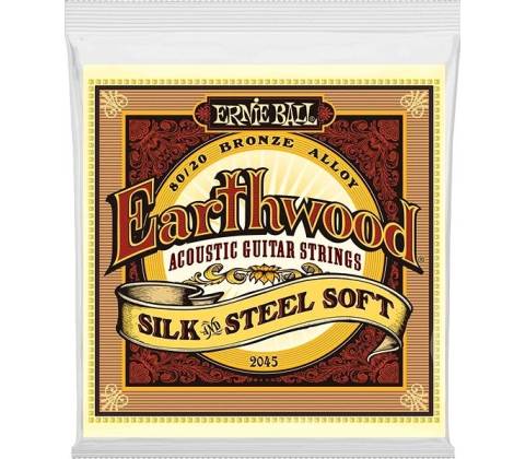 Ernie Ball 2045