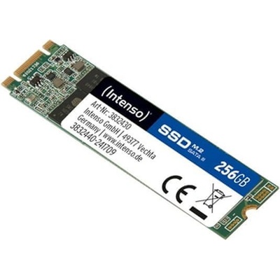 Intenso 256GB, 3832440