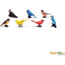 Safari Ltd. Tuba Ptáci