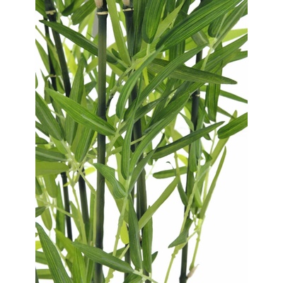 Bambus v černém květináči, 120 cm