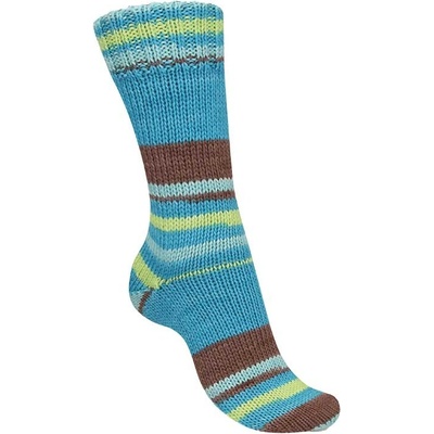 Regia 6-ply Talking Lines Color 5102 Clove-capri