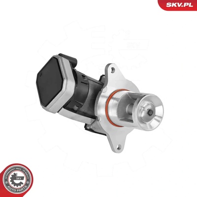 ESEN SKV AGR ventil ESN 14SKV307