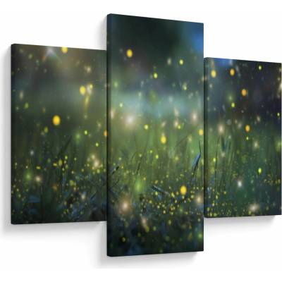 Obraz - Kouzelná noc, třídílný 90x60 cm – Hledejceny.cz