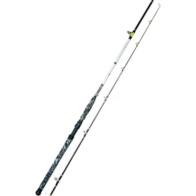 WFT CatBuster Spin 2,7 m 20-210 g 2 díly