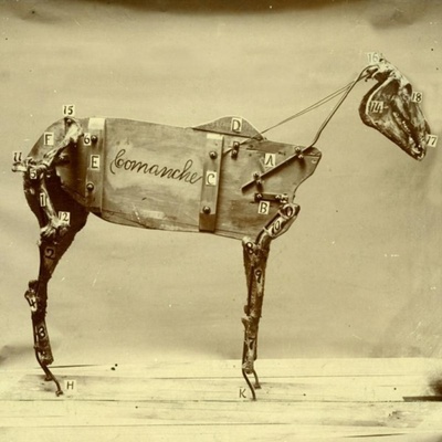 STOKES CHADWICK: HORSE COMANCHE LP