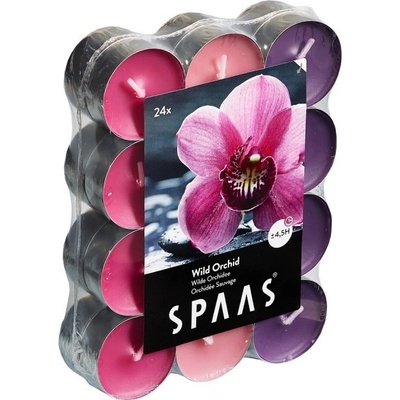 Spaas MIX orchidej 24 ks