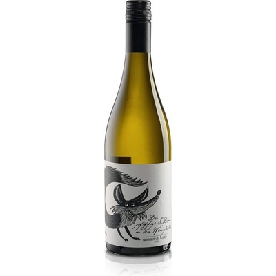Sighardt Donabaum Grüner Veltliner Der Fuchs bílé 2023 12,5% 0,75 l (holá láhev)
