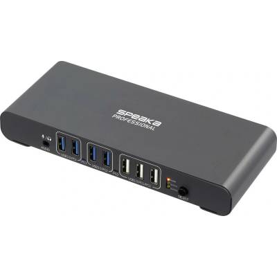 SpeaKa Professional SP-KVM-2P4K
