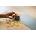 Fiskars 1004748
