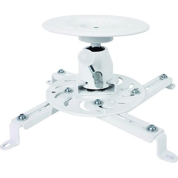 Roline LCD Monitor Wall Mount (1100)