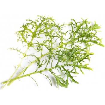 Veritable Вложка за семена Lingot листни зеленчуци горчица Golden Frills (lingot-musztardowiec-golden)