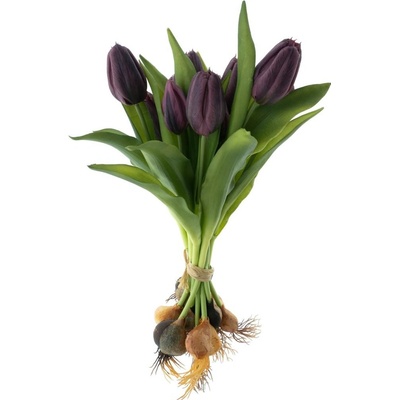 Tulipán 'Sally' svazek s cibulkou x12fialová (aubergine)V33 cm