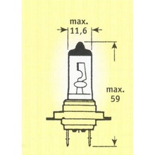 Trifa H7 PX26d 24V 70W