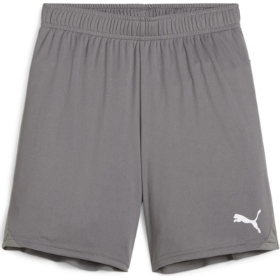 Puma Teamgoal shorts jr 705753-13