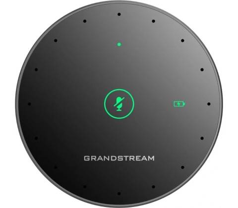 Grandstream GMD1208