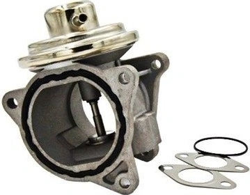 MAGNETI MARELLI 571822112110 AGR Ventil Für FORD