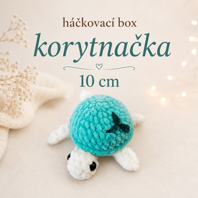Box hačkovana korytnačka 10 cm