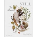STILL - Mary Jo Hoffman