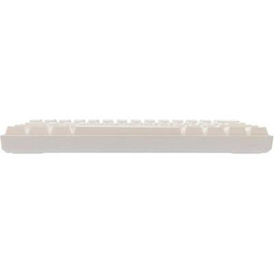 White Shark SHINOBI 2 Blue switch White US GK-004211