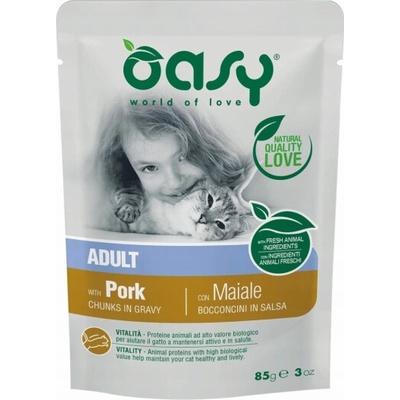 OASY Chunks in gravy Pork 85 g