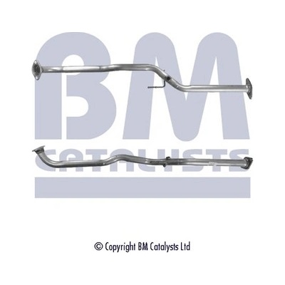 BM CATALYSTS BM50196