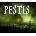 Pestis