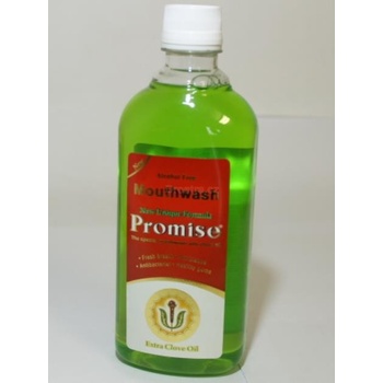 Promise s hřebíčkovým olejem Ústní voda 500 ml