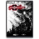 Afterfall: Insanity