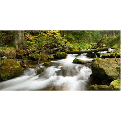 Foto obraz sklenený horizontálny Olčiský potok 100x50 cm