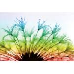 DIMEX ART Флизелинов фототапет глухарче с роса 375 x 250 см