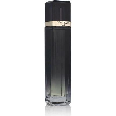 Paris Hilton Gold Rush toaletná voda pánska 100 ml tester