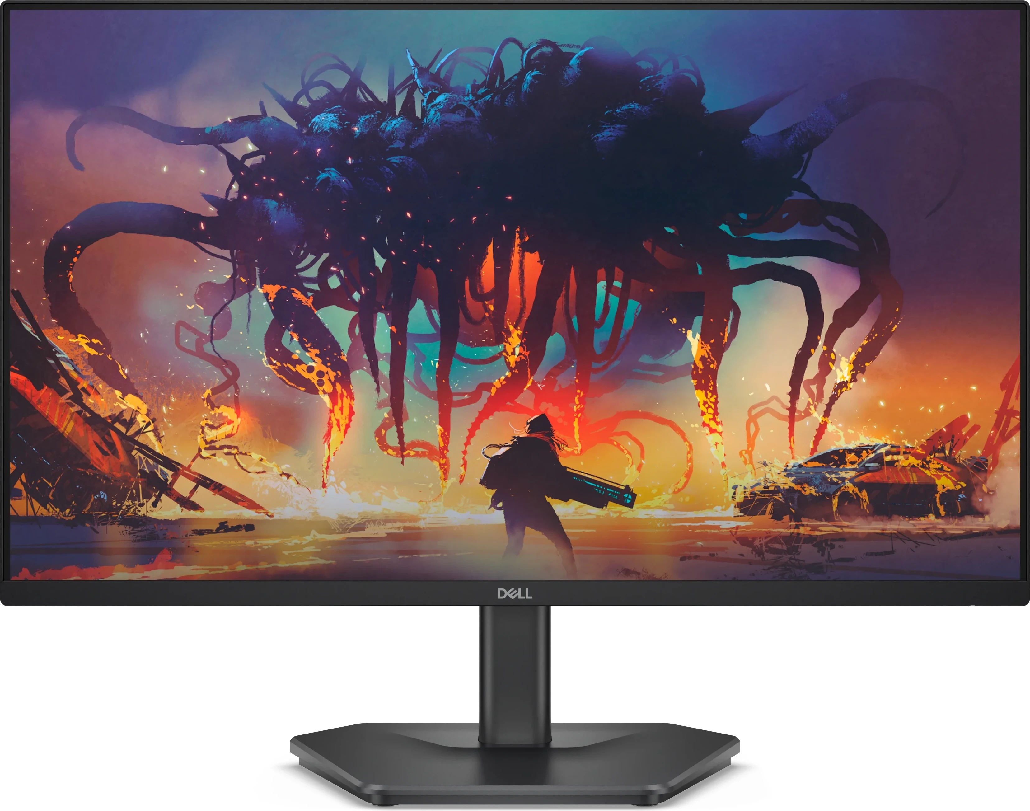 Dell SE2425HG
