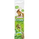 Versele-Laga Mega Sticks zelená pastvina 2 x po 70 g