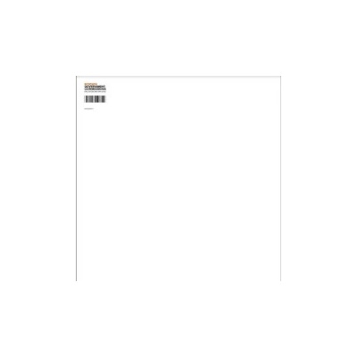 MOGWAI - GOVERNMENT COMMISSIONS LP
