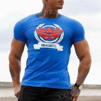 Pánske fitness tričko Iron Aesthetics Triumph, modré, , Farba Modrá