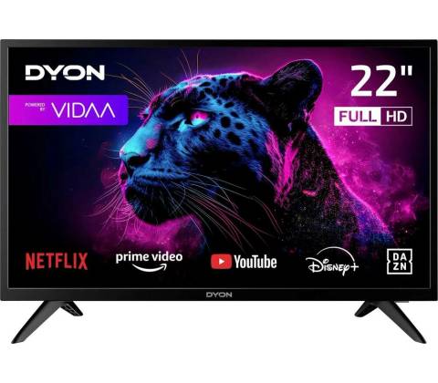 Dyon 22 VX